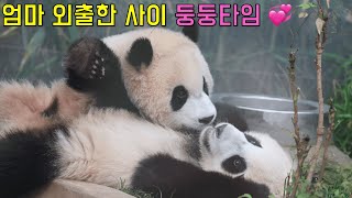 [4K] 엄마 없을 때 루이후이는 어떻게 놀까? / 루이바오 / 후이바오 / 아이바오 / 러바오