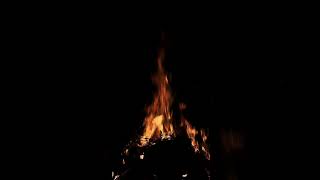 Burn, Baby, Burn 😻🔥 #bonfire #flames #mesmerizing #fire #burningtime