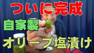 完成！自家製オリーブ塩漬けが美味すぎる【やり方はシンプル穫れたて漬けたては美味】