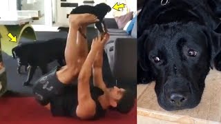Sushant Singh Rajput Last Time Playing With His DOG Fudge Puppies Shows How Kind Hearted He Was!