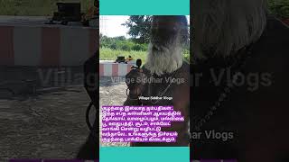 திண்டுக்கல்: Grandpa Siddhar Jeevasamadhi / தாத்தா சித்தர் ஜீவசமாதி.