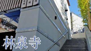 文京区小日向４丁目にあるお寺【林泉寺】