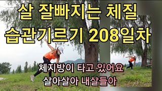 운동습관기르기 209일차/매일 살잘빠지는체질 습관기르기 마샤와 함께 화이팅입니다