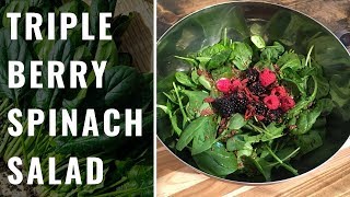 Triple Berry Spinach Salad (WFPB, Vegan)