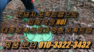 멧돼지 유해동물 포획트랩(특허제품) 대형트랩 중형트랩 피해 걱정 NO! Wild hugs pig boar trap 문의 031-8071-1118/010-3322-3432