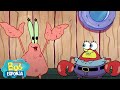 ¡Don Cangrejo perdió su caparazón! | Bob Esponja en Español