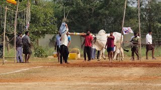 పొట్లపాడు ఆరుపళ్ళు 7వ జత శ్రీకృష్ణ యాదవ యూత్ బోయినవారిపాలెం చీరాల మండలం