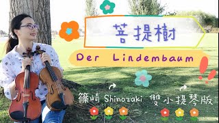 菩提樹－篠崎第二冊第76首/雙小提琴合奏－安安老師/Der Lindembaum by Schubert