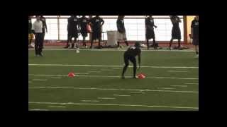 DeWayne Lewis NFL Combine Chicago Bears Workout 2012 (4.3 Speed)