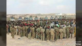 Ciidanka puntland guusha iyaga leh