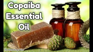 Copaiba Essential Oil: The Magnifier Oil - Amazing Uses for The Skin Plus Other Benefits and Recipes