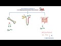 calcium metabolism made easy biochemistry