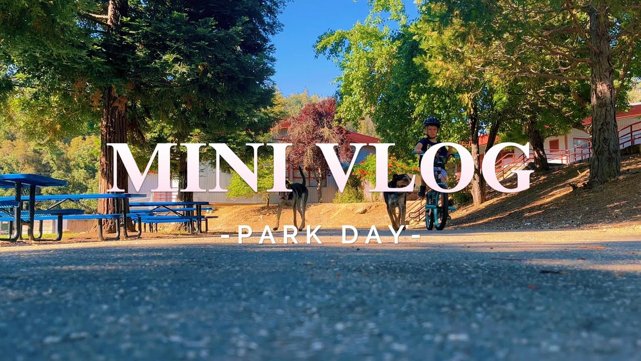 Mini Vlog Youtube