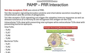 Medical Immunology (PAMPs, PRRs, and TLRs)