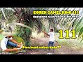 unboxing sickle 111 test of extraordinary sharpness |  egrek camel king 111