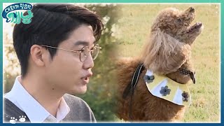 강아지 전문가 설채현이 알려주는 특급 교육법 '해주세요' | #대화가필요한개냥 EP10 #03