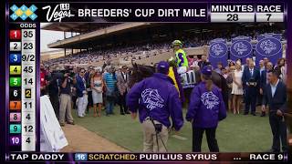 Rushing Fall Wins Breeders' Cup Juvenile Fillies Turf Grade I Race 6 at Del Mar 11/03/17