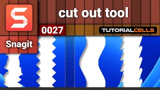 0027. cut out tool in snagit