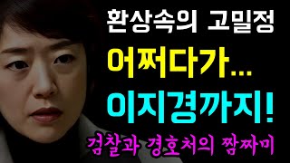 환상속의 고밀정... 어쩌다 이지경까지!, 통합과 다양성 넘어 '한동훈·이준석과 공조까지!?', 현실-정무감각 제로, 3번재 영장기각 '검찰과 경호처의 짬자미!'