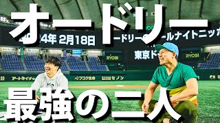 【オールナイトニッポン】東京ドーム直前！リトルトゥースによるオードリーの魅力解説。【令和タレント名鑑】