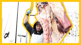 Beef Breakdown - Hindquarter Breakdown On the Table