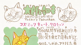 2025/01/07(火)のタロチャン日記を描いている動画です。