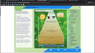 virtual lab instructions 9.14/15