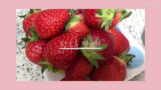 [일상] 지옥에서 온 탕후루 🍓