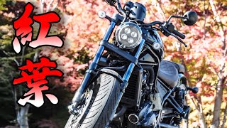 【バイク乗りの休日】レブル1100とZX-25Rで紅葉ツーリングに行ってきた！