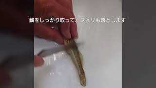 ハゼの天ぷら用捌きかた