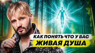 Живых душ  на Земле каждый год все меньше? (научные исследования) Сергей Финько