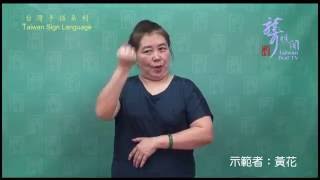 第70集   聾之我解【身心障礙牌照稅篇】