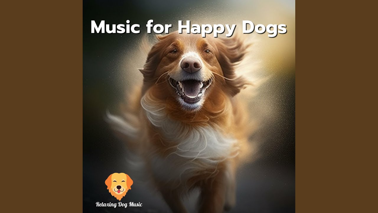 Dog Music Youtube Music