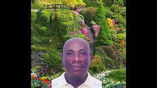 Celebration Of Life for Fitz Brian Simon
