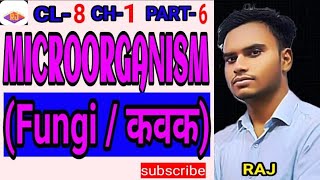 Fungi ।। कवक ।। Microorganism ।। chapter -1 ।। part-6 ।। by-RAJ