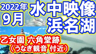 【水中映像】乙女園・六角堂  2022年9月 秋の浜名湖（浜名湖の釣り）