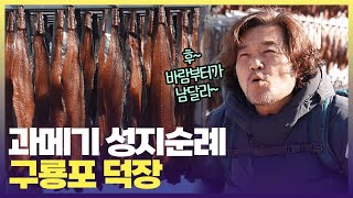 과메기 예찬론자들의 최대 난제 🥸깊은 맛의 청어냐, 담백한 꽁치냐? 일단 구룡포 덕장에서 먹어보고 결정하세요 ㅣ #6시내고향 #발길따라고향기행#포항