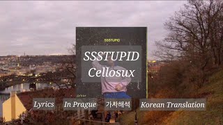 [가사/해석] SSSTUPID - Cellosux | 자기야, 난 멍청해