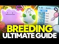 ULTIMATE Breeding Guide: Perfect IVs, Natures, Egg Moves | Pokemon Brilliant Diamond & Shining Pearl