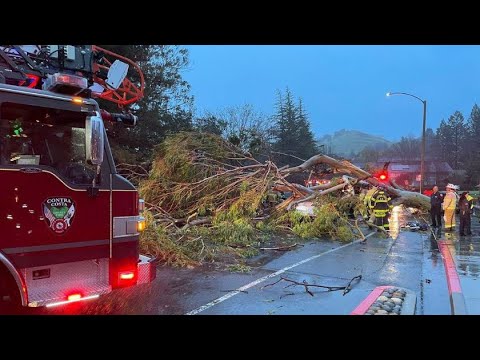 Winter Preparedness Youtube