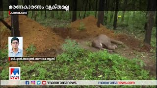 പാലക്കാട് ഒരു വയസ് പ്രായം തോന്നിക്കുന്ന പിടിയാന ചരിഞ്ഞു ​ |  Palakkad elephant