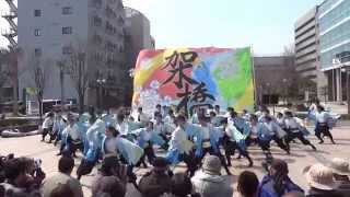 浜よさ2015 信州大学　和っしょい（東街区）