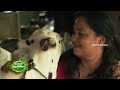 kissan krishideepam episode 1023 part 1 a journey through the beautiful dairy farm of sinu george