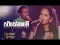 පටිසෝතගාමී | Patisothagami | Shashika Nisansala