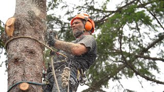 Zink Outdoor Solutions - Tillamook County's Tree Expert