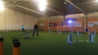 Sabrina Hauser \u0026 Amber / 2. WHC Agility 17.12.2017