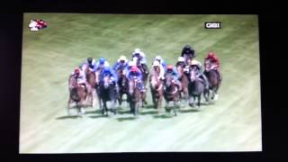 2014高雲地利錦標 2014 Coventry Stakes G2