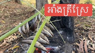 អាំងត្រីស្រែ