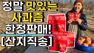 정말 맛있는 속노란 사과즙 판매 산지직송 - Apple juice sales