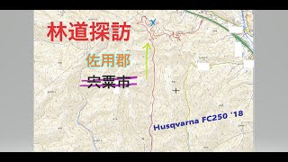 林道探訪 兵庫県佐用郡/宍粟市　（2022-3-12）バイク　ツーリング　ハスクバーナ FC250 '18　KTM　Husqvarna　ハイキング　林道散策